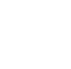 nodokaロゴ